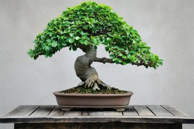 家庭裝修風水寶典：避免3大禁忌，打造和諧家居環(huán)境