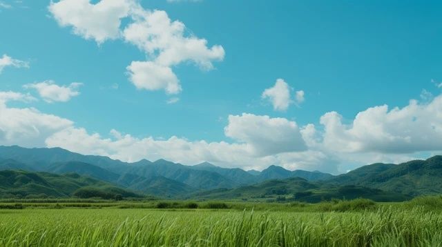 探索屯昌之旅:暢游美景好去處