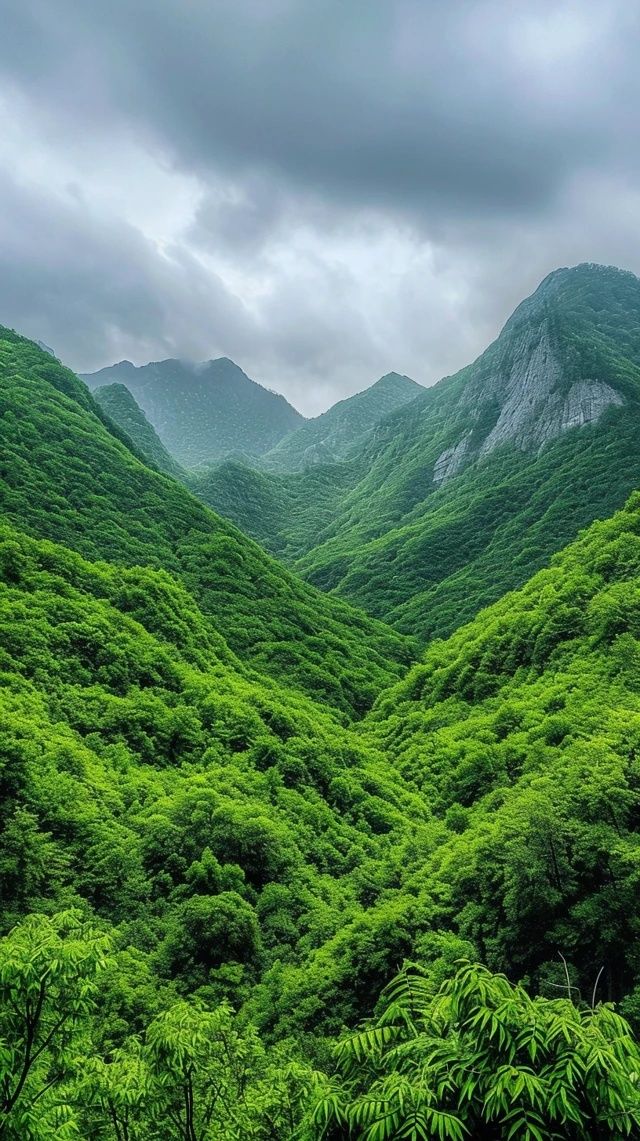 中國(guó)主要山脈基礎(chǔ)常識(shí)概覽