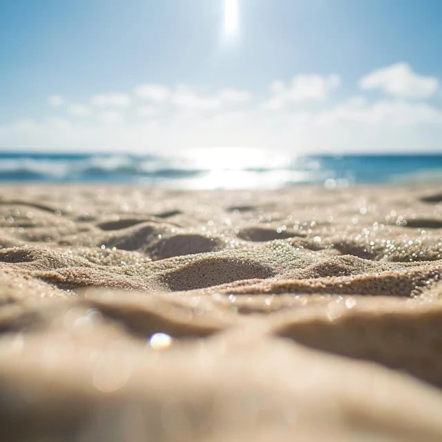 定格炎夏美好瞬間