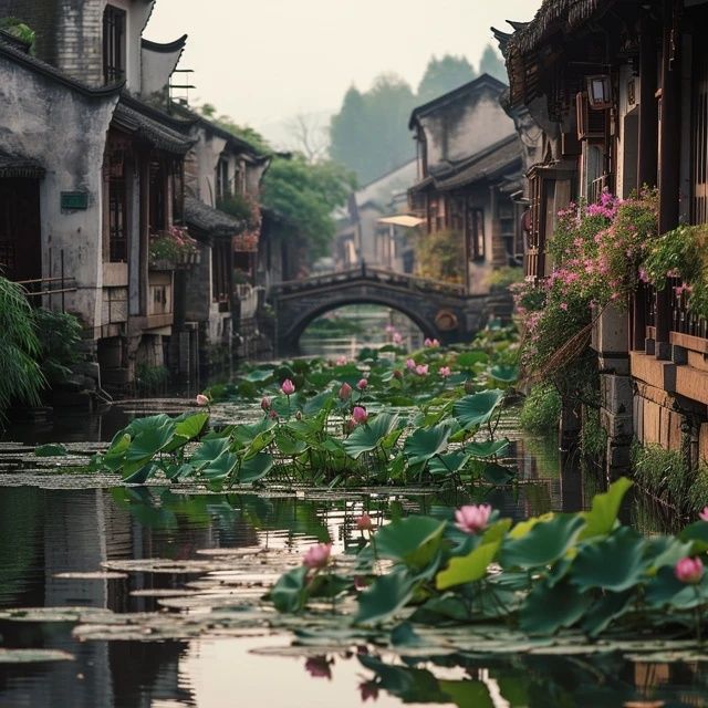 四日游江南:杭州烏鎮(zhèn)蘇州上海水鄉(xiāng)深度體驗(yàn)
