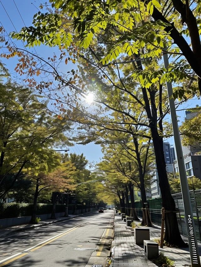 在多云轉晴的錦州,根據天氣無縫銜接安排行程~