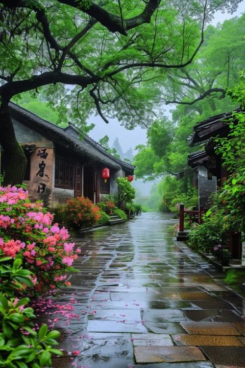 探索溫帶季風(fēng)氣候下的揚(yáng)州:春季與秋季的江南風(fēng)情之旅