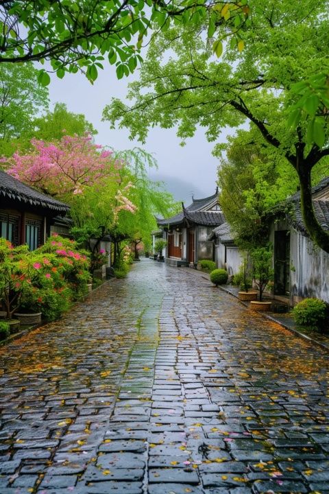 石臺縣的隱世古村：白石村——歷史與自然交織的迷人畫卷