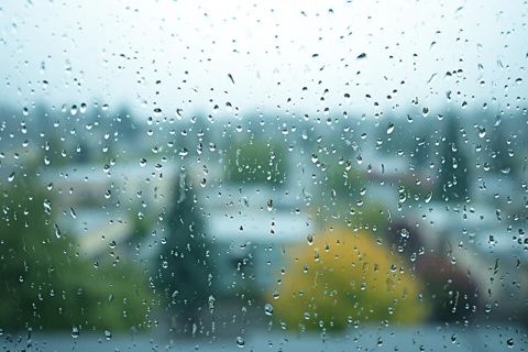 梅雨季節即將來臨了!