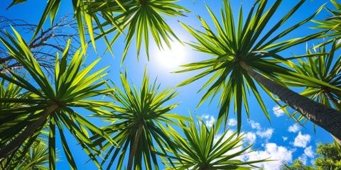 年假的第三天,雖然已經立秋了,氣溫并沒有降下來,還是有36、37o的樣子