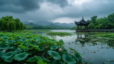 夏日荷塘：荷花盛開的視覺盛宴，探索其文化與生態價值