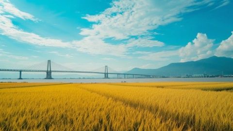 嵊泗列島暑期旅行攻略:行程推薦、景點介紹和美食指南