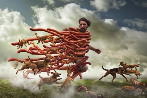 為什么人類幾乎不吃食肉動物的肉？