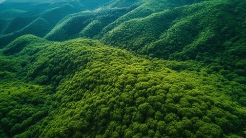 探索長春生態之美——凈月潭、北湖濕地與這有山文化之旅