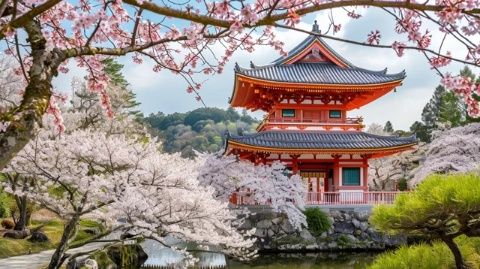 6000元就能玩轉(zhuǎn)日本一周？這7大理由讓你無比確定！