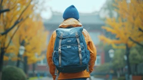 校園安全小貼士:小學(xué)生必備的安全常識(shí)清單