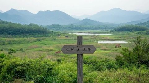 走進青木川魏輔唐(走進青木川2)