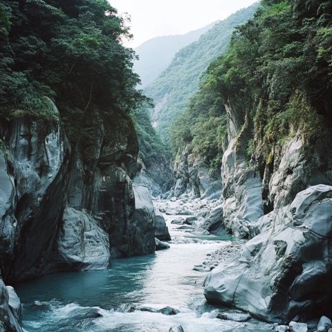 走進青木川魏輔唐(走進青木川2)