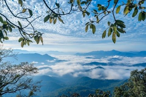 青城山:爬前山還是后山? 最全游玩攻略