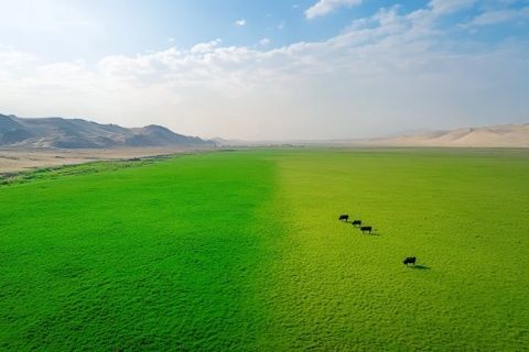 青海德里哈市白馬山高原空氣稀薄透明度極好,特殊地理環(huán)境引起爭議.