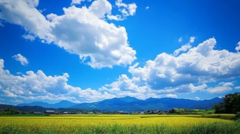 探秘云端仙境:馬家塢納吉云景,世外桃源般的鄉(xiāng)村之旅