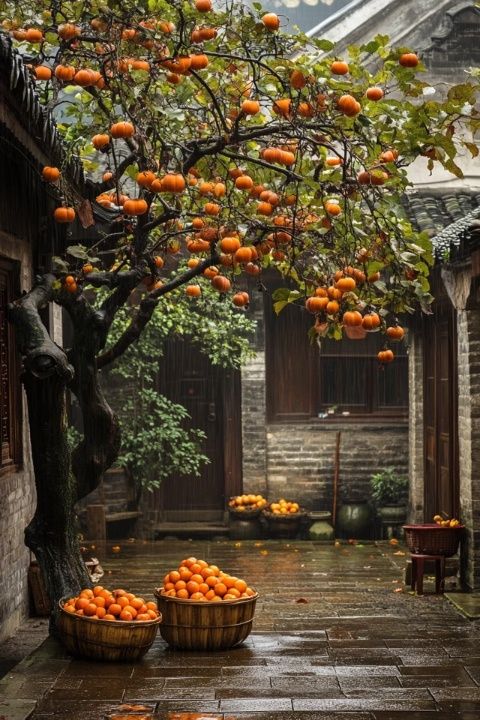 大圩古鎮(zhèn):舌尖上的老桂林味道