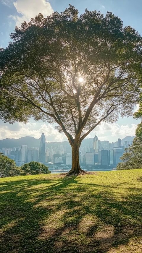 探秘香港之旅:奧運健兒溫情瞬間與城市風光的完美邂逅