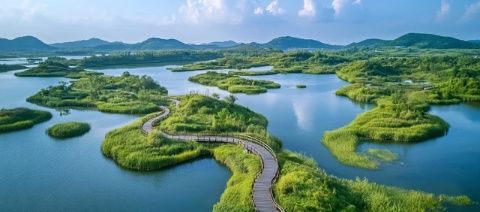 探秘江海門戶:南通之旅的驚喜與失望交織體驗