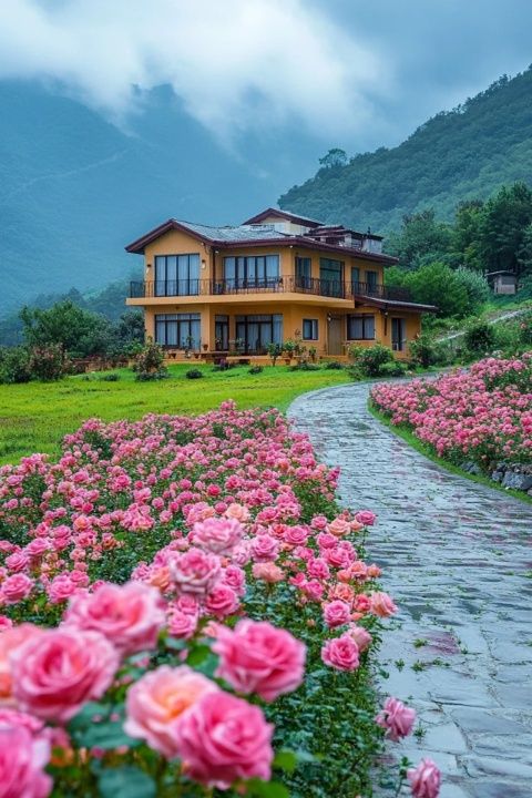 清邁泰北玫瑰的悠然之旅