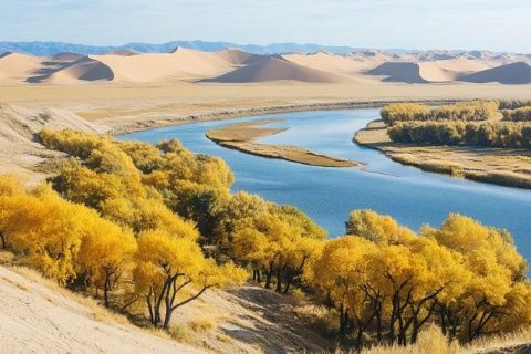 呼倫貝爾深度游攻略:6天5夜探索自然與文化奇境