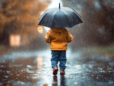 雨天安全常識(下雨天的基本安全小常識)
