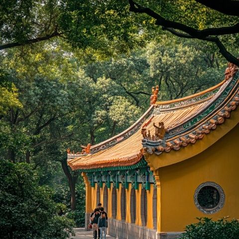 南京夫子廟旅游攻略:探秘趣味景點,品嘗地道美食,不可錯過的旅行指南