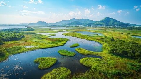 揭秘七臺河:黑龍江省的綠色明珠,自然與人文的完美交融