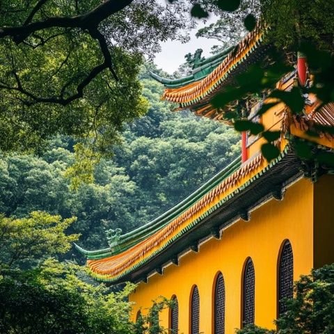 最新最全的普陀山旅游實用攻略來啦!
