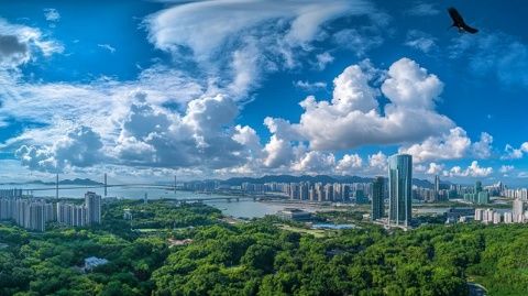 深圳:現代化都市與創新熱土的完美融合