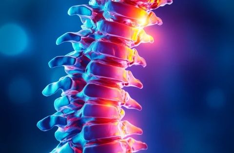 腰椎常識全解析:從癥狀診斷到日常保健的全方位指南