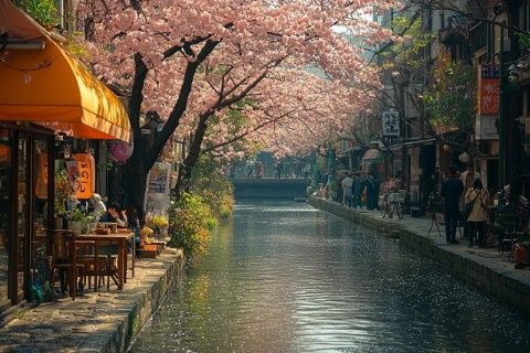 櫻花飄落下的夕陽(yáng)美食