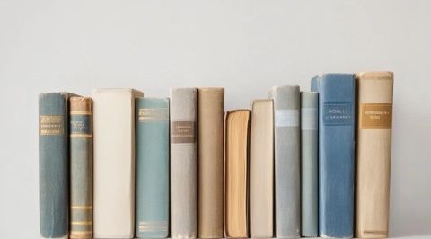 這些經典的文學知識(經典文章的文學常識是什么)