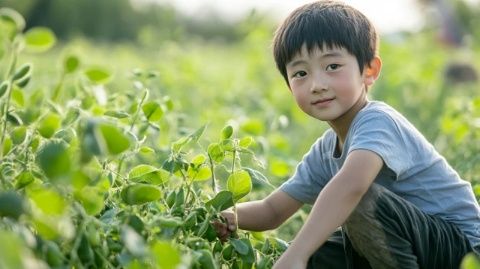 周五接弟妹發(fā)現(xiàn)草莓上市,價(jià)格八元一斤,新鮮土豆成新菜式