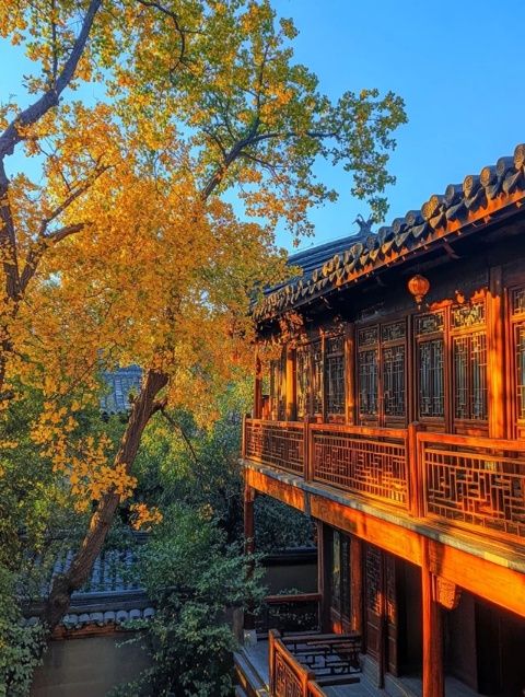 河南三門峽陜州地坑院:探秘古老恒溫住宅與獨特穿山灶