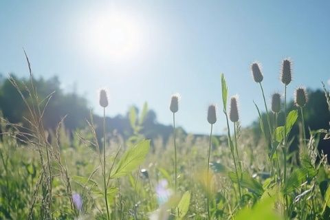 春季養(yǎng)生小知識，給身體預(yù)防疾病！