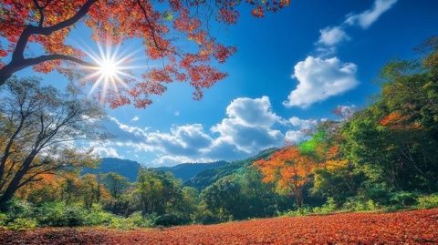 白日如夏晚來(lái)秋，炎熱與涼爽共存
