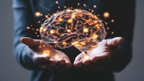 「智能推薦的陷阱:如何跳出信息舒適圈,重燃現(xiàn)實(shí)生活熱情」