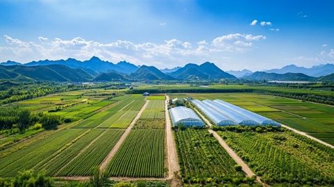 廣州至桂林:龍脊梯田與陽朔三天兩夜避雷攻略