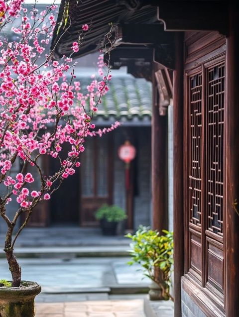 即墨古城春景絢爛!花卉盛開(kāi)位置及最佳觀(guān)賞時(shí)間一覽