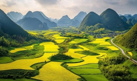 四月天最美景色,槐花飄香滿人間