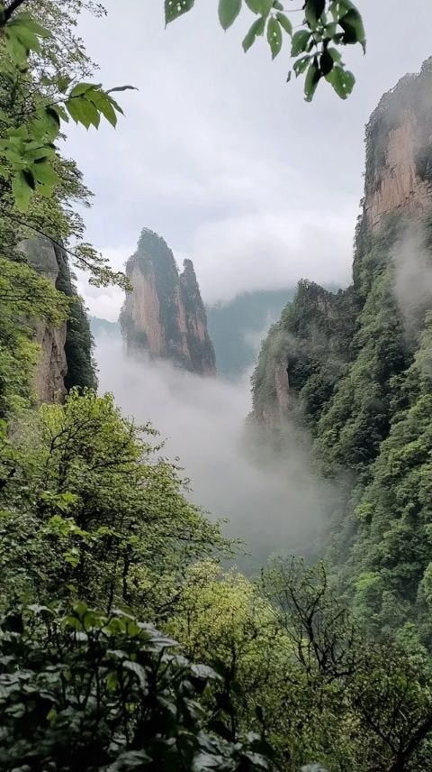太行山腹地秘寶——阜平八大碗香氣四溢,吸引八方食客品味古早美味