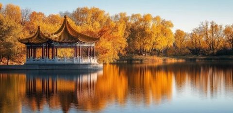 金秋十一月,漫步印月湖畔