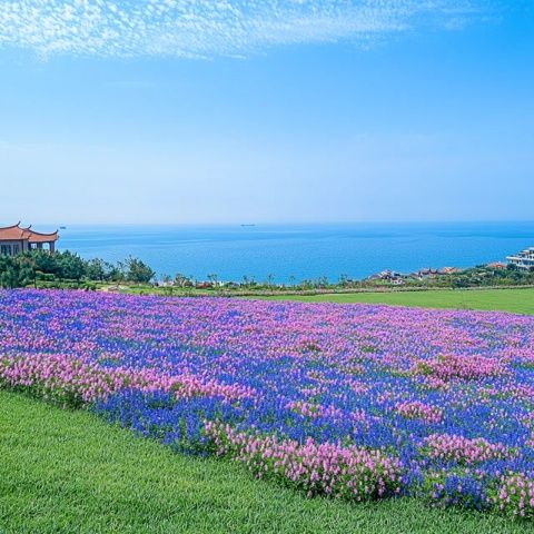 全世界最美的15片花海錯過就只能等明年了！