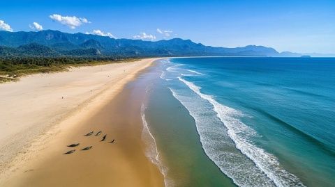 地球最后的凈土:探索新西蘭的獨特魅力與自然風光