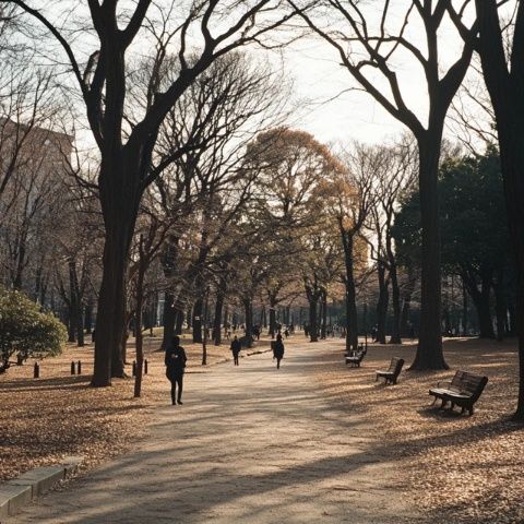 今天在地鐵里遇到兩位來沈陽美國大使館辦理業務的山東小姐姐,聽他們倆一路夸沈陽