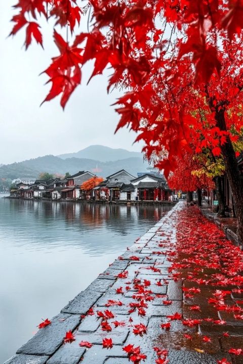 體驗南京賞秋之鐘山風景區的美景和美食
