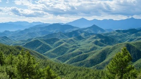吉林白山:探尋春日山野珍饈,體驗大自然的獨特風味