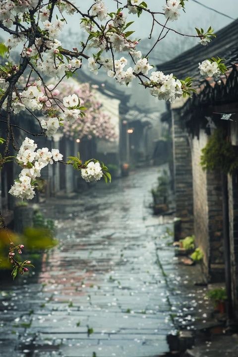 探索南靖云水謠古鎮(zhèn)的詩意之旅